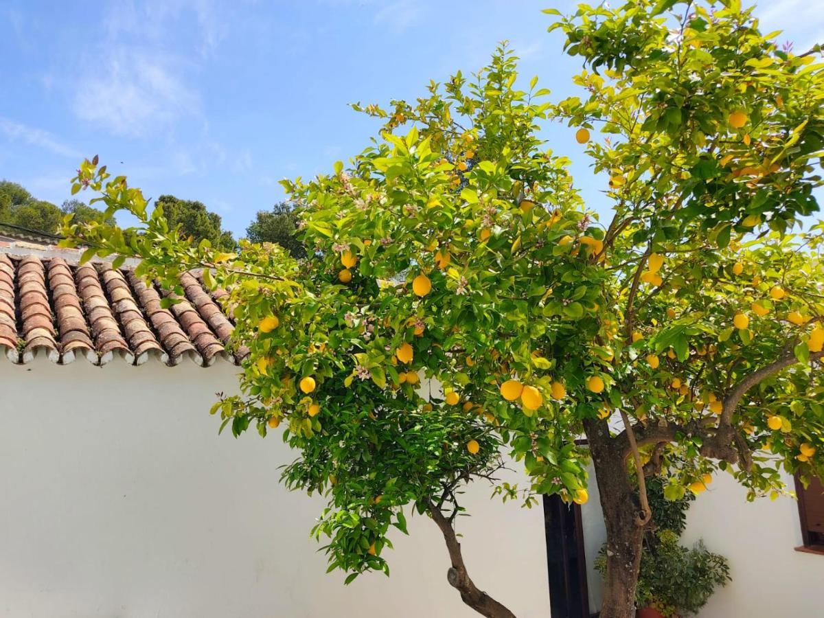 El Patio del Limón Vila Montecorto Exterior foto