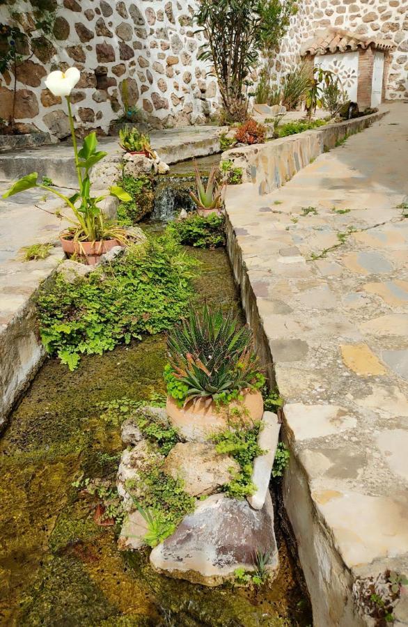 El Patio del Limón Vila Montecorto Exterior foto